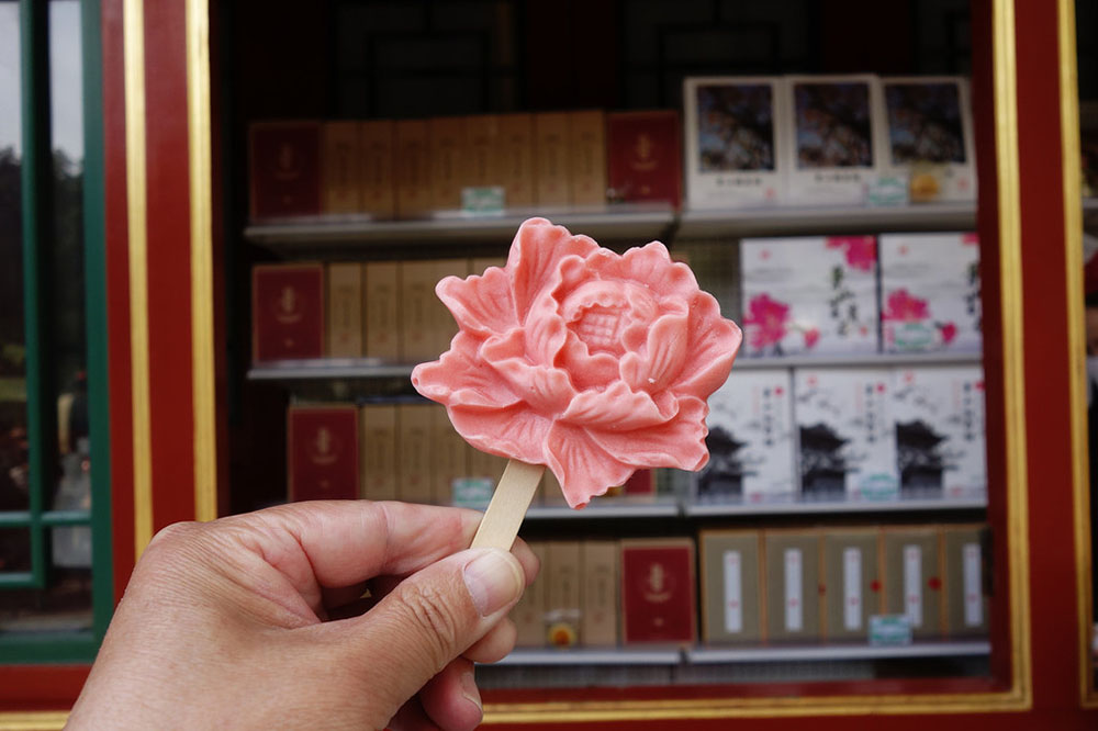 アイスを食べながら牡丹を愛でよう！北京市景山公園