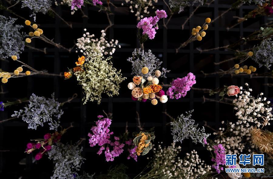 上海?夢(mèng)花源で家庭園蕓展が開(kāi)催　「園蕓を家庭に」