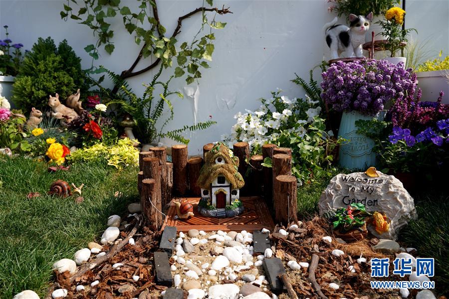 上海?夢花源で家庭園蕓展が開催　「園蕓を家庭に」