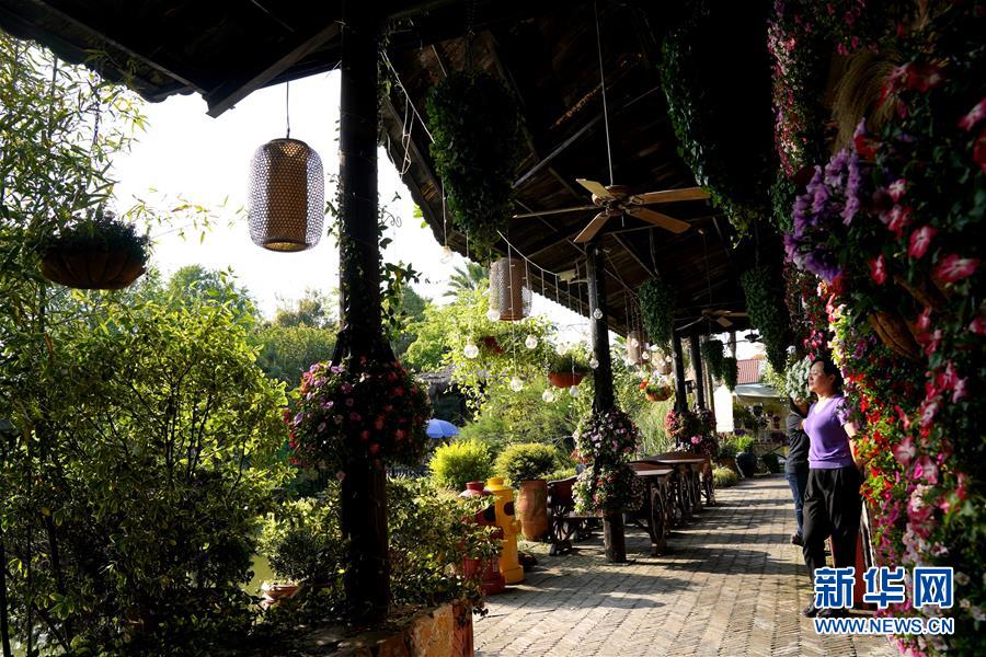 上海?夢花源で家庭園蕓展が開催　「園蕓を家庭に」