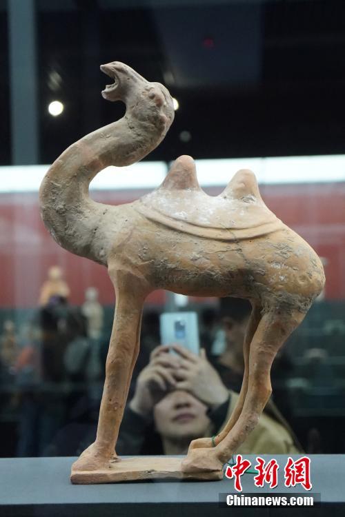 おかえり！イタリアから中國(guó)へ「帰國(guó)」した流失文化財(cái)特別展、北京で開(kāi)幕