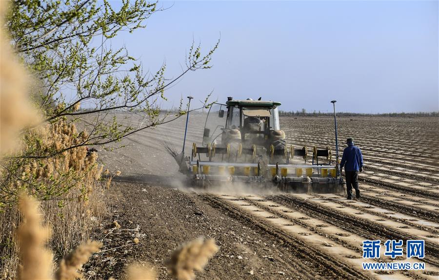 春の耕作シーズンを迎えた新疆の「スマート農(nóng)業(yè)」