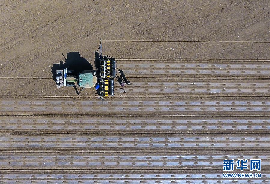 春の耕作シーズンを迎えた新疆の「スマート農(nóng)業(yè)」