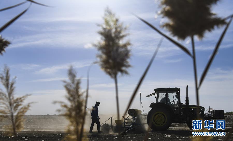 春の耕作シーズンを迎えた新疆の「スマート農(nóng)業(yè)」
