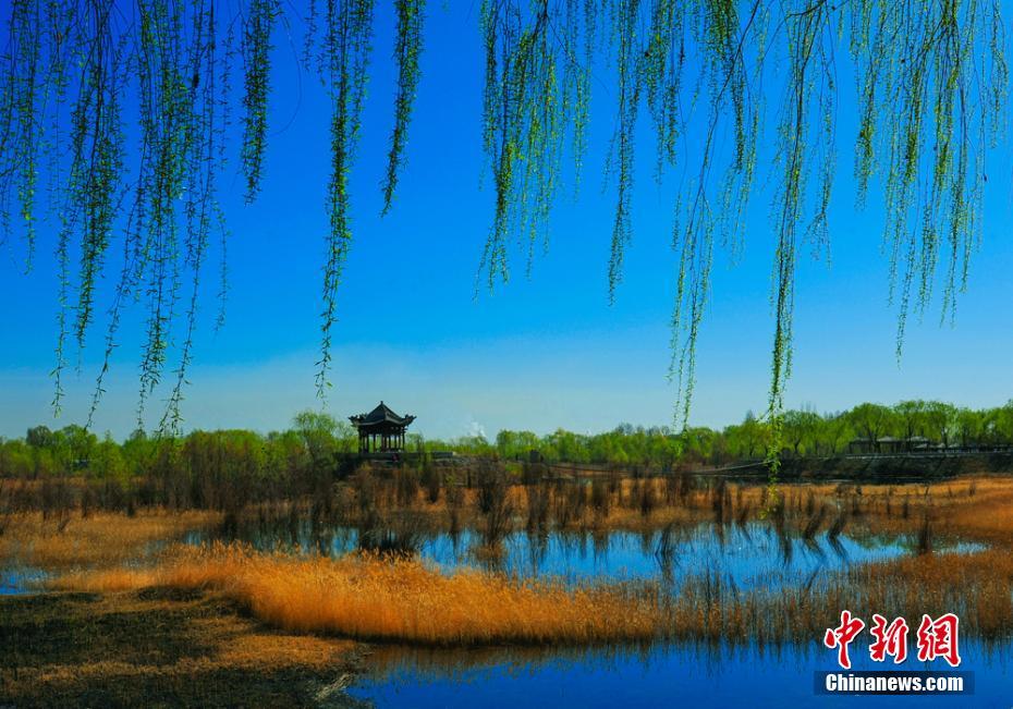 花咲き誇り絶景広がる甘粛省嘉峪関市の萬里の長城