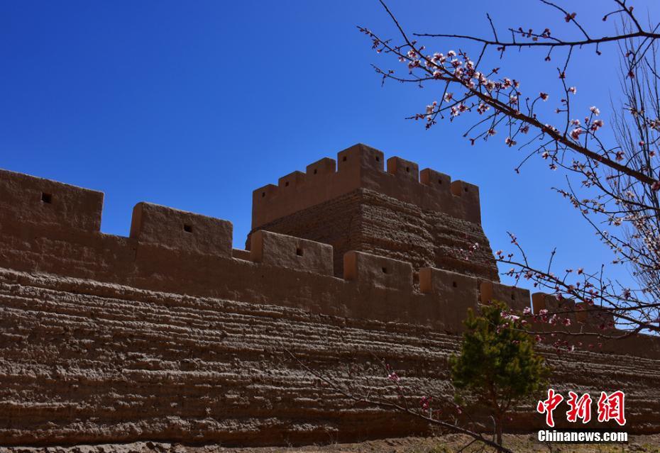 花咲き誇り絶景広がる甘粛省嘉峪関市の萬里の長城