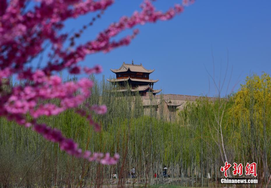 花咲き誇り絶景広がる甘粛省嘉峪関市の萬里の長城