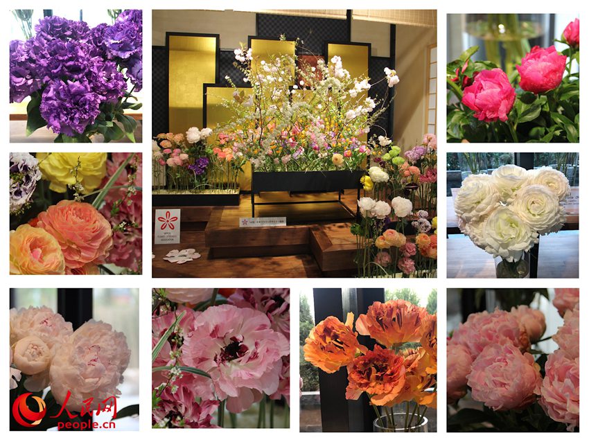 日本展示館のフラワーアレンジメントと花卉（撮影?袁蒙、玄番登史江）。