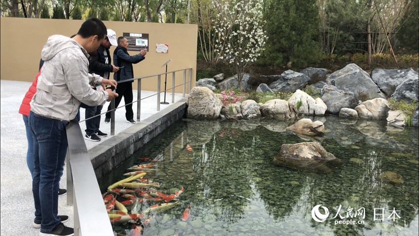 日本庭園と建物のコラボで創(chuàng)り出す和の空間　2019北京世園會