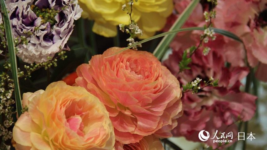 日本庭園と建物のコラボで創(chuàng)り出す和の空間　2019北京世園會(huì)