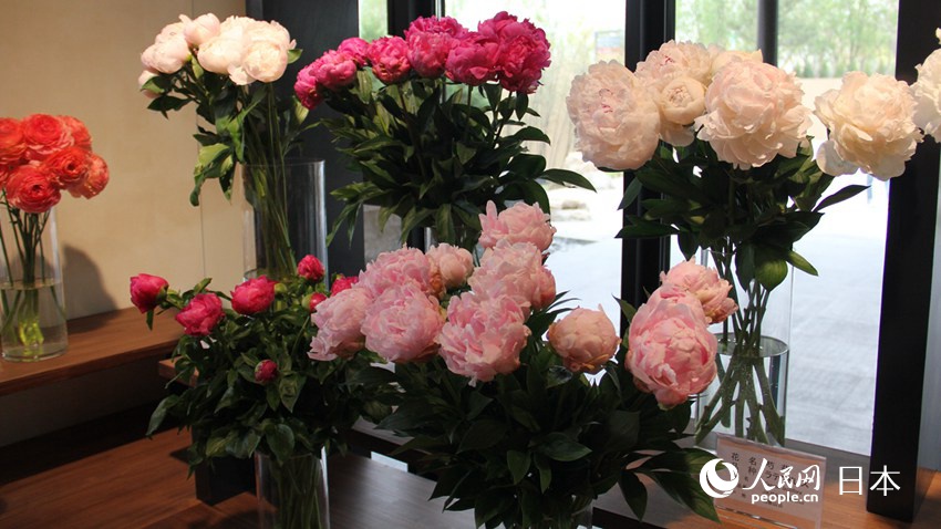 日本庭園と建物のコラボで創(chuàng)り出す和の空間　2019北京世園會(huì)