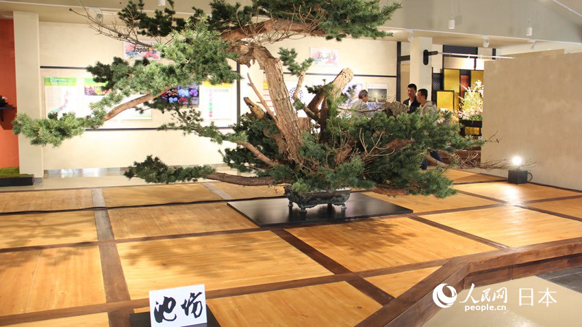 日本庭園と建物のコラボで創(chuàng)り出す和の空間　2019北京世園會