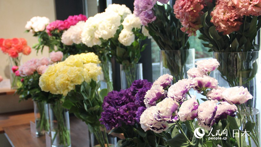 日本庭園と建物のコラボで創(chuàng)り出す和の空間　2019北京世園會