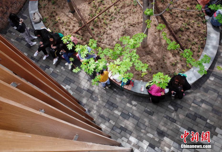 北京世園會でお腹が空いたら何食べよう？