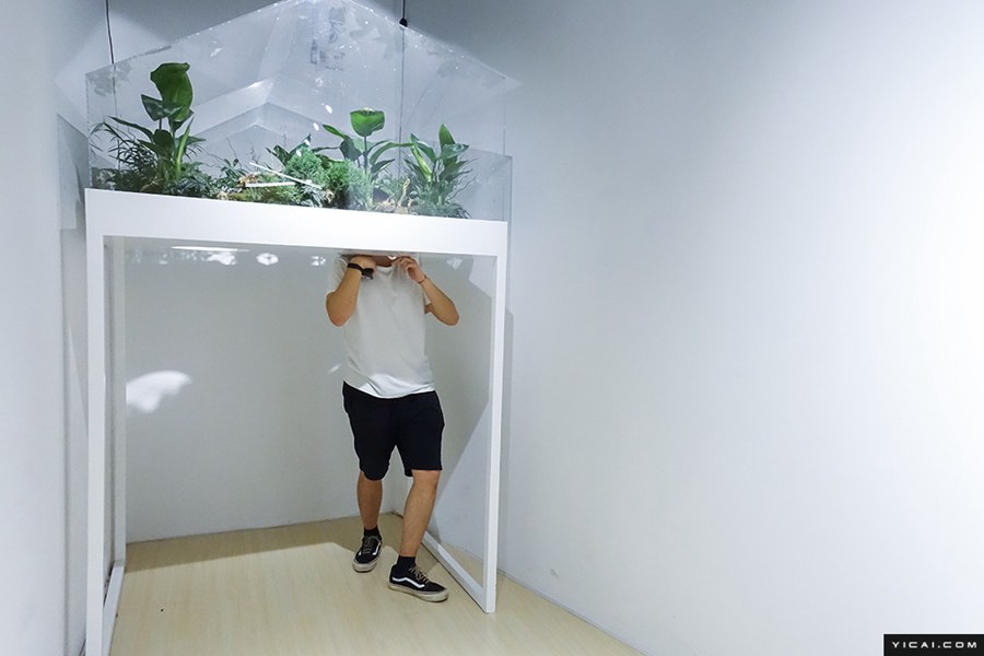 上海の商業(yè)施設(shè)に4連休中「不思議なストレス解消館」登場(chǎng)