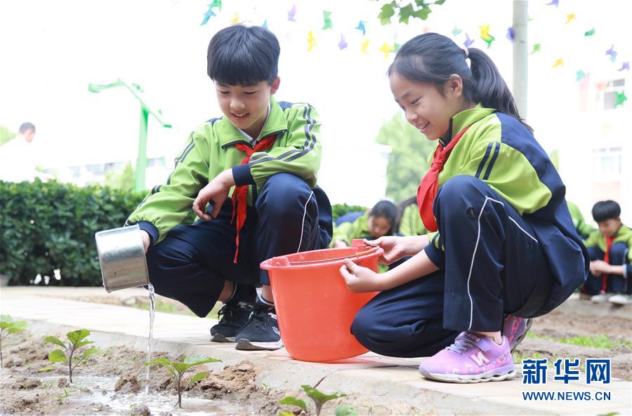 様々なイベントで祝う二十四節(jié)気の「立夏」