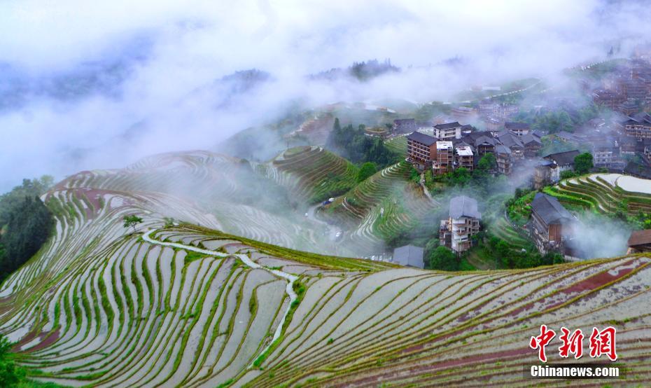 5月5日、靄が広がり絶景が広がる広西チワン族自治區(qū)桂林市竜勝各族自治県の竜脊棚田（撮影?潘志祥）。 