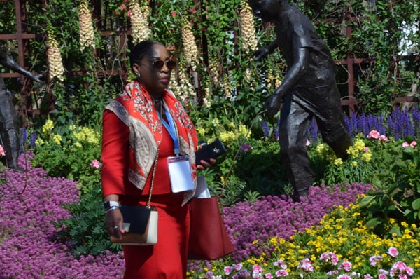 四合院の「小さな庭」から「大きな北京」を眺めよう！北京世園會(huì)