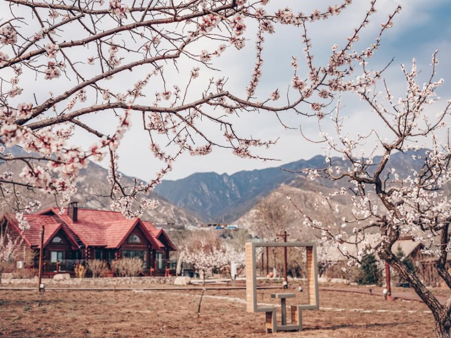 一路北へ向かい北京郊外の花園へ