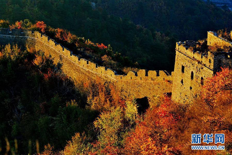 河北省秦皇島市にある董家口長城の景色。（2014年10月25日。撮影?楊世堯）