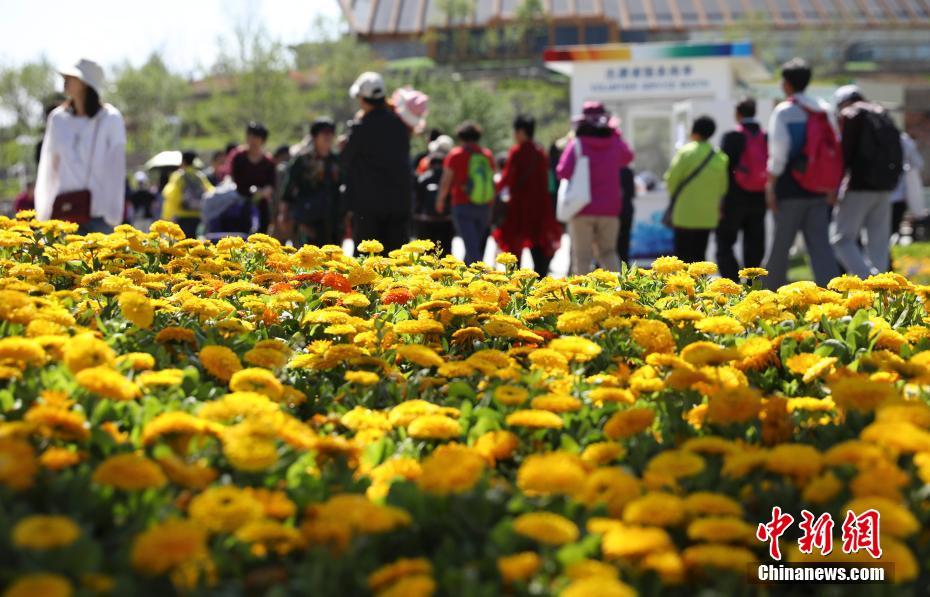 大盛況！美しい展示物いっぱいの北京世界園蕓博覧會