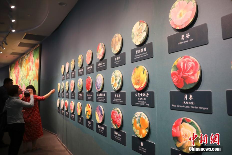 大盛況！美しい展示物いっぱいの北京世界園蕓博覧會(huì)