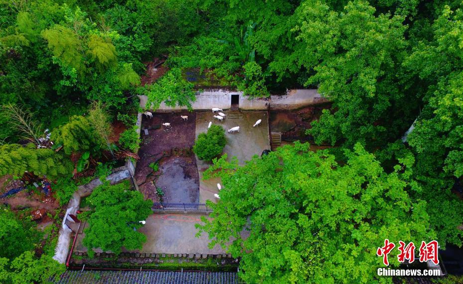 自然と靜けさを愉しむ　江西省の白鹿洞書院