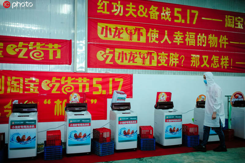 湖北省の男性がザリガニ専用の洗濯機を開発　洗濯後もザリガニは元気