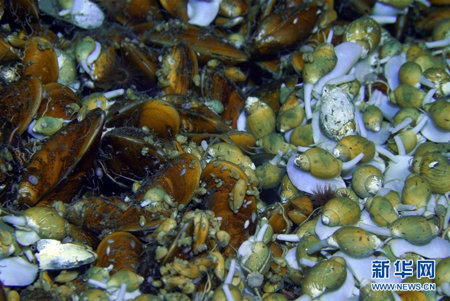 科學(xué)観測船「海洋6號」が深海探査共有航行を完了