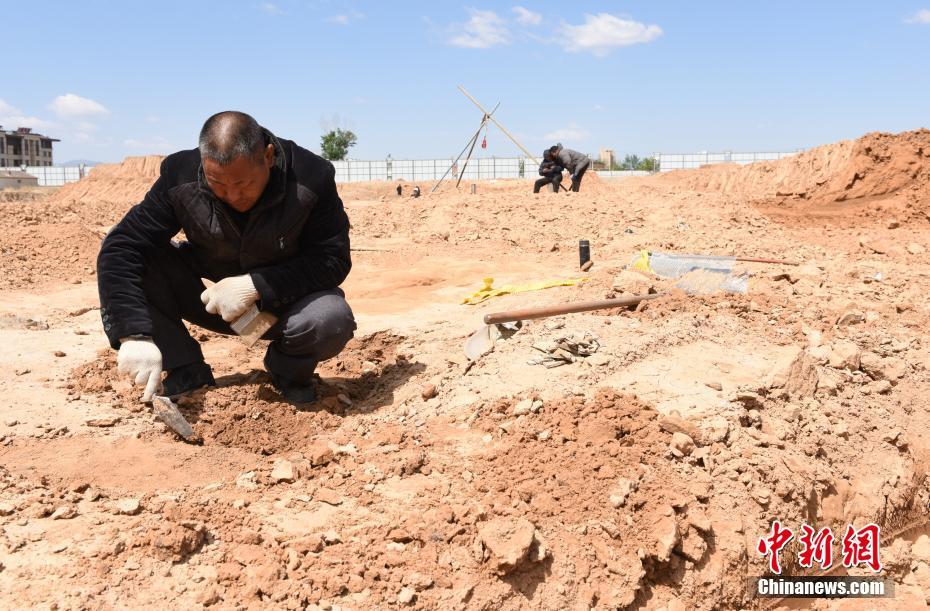 河北省宣化區(qū)で古墳群が発見　戦國時代の古墳も