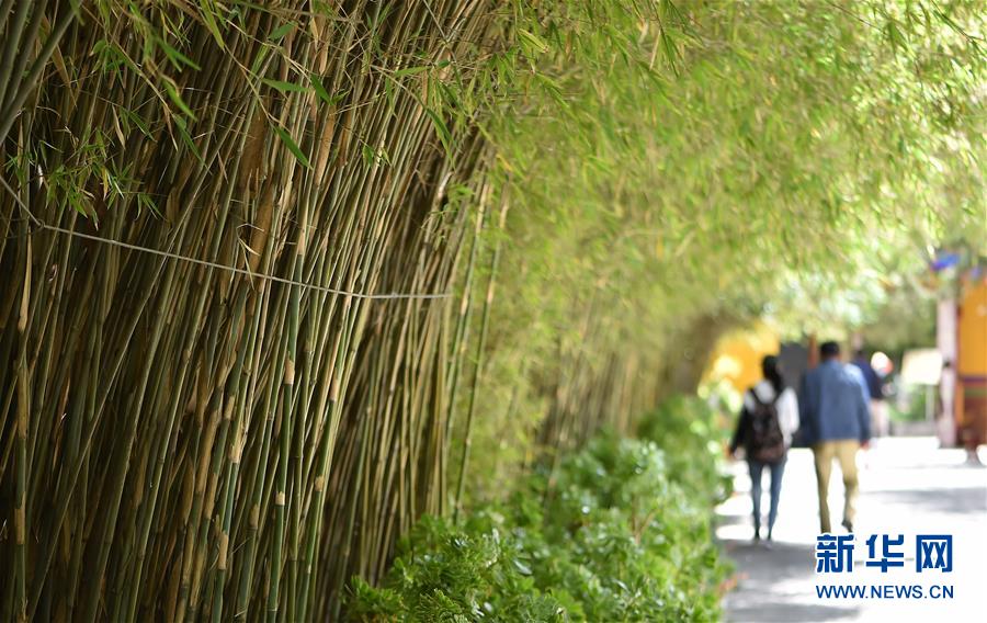 ラサの花園?ノルブリンカを訪ねて