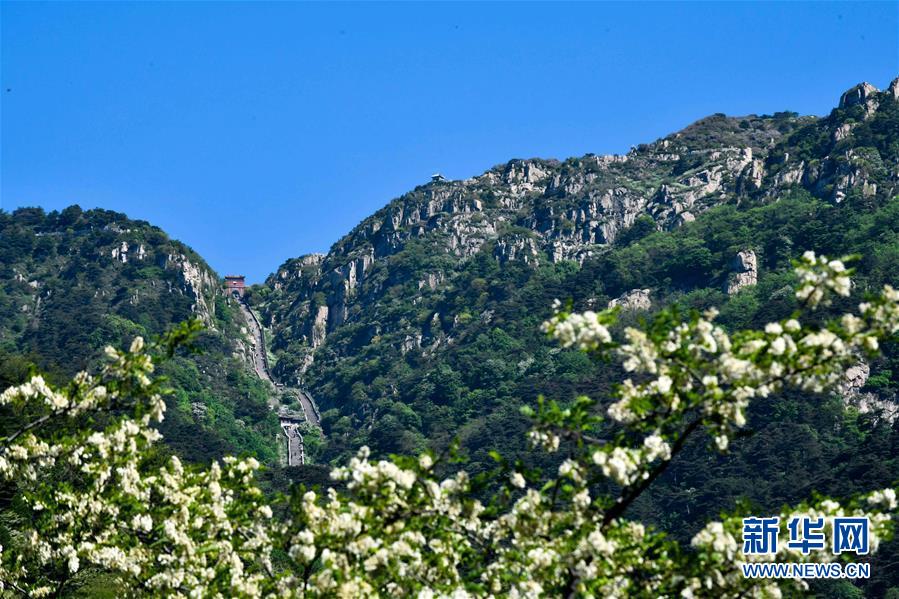 絵のように美しい初夏の泰山　山東省