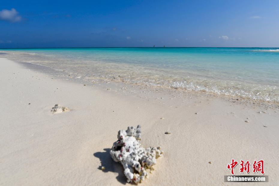 西沙全富島の「シルバービーチ」を訪ねて