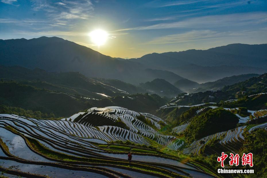 6月3日に撮影された広西チワン族自治區(qū)竜勝各族自治県にある竜背棚田(撮影?潘志祥)。 