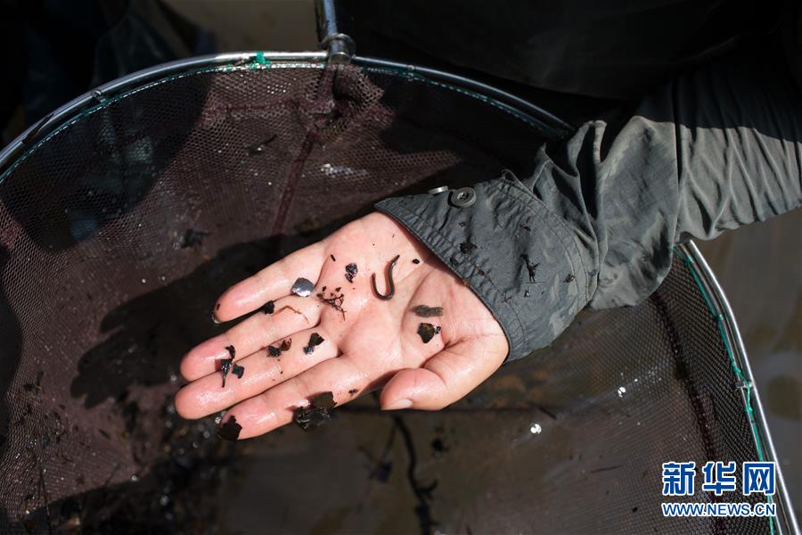 中國?ミャンマー合同科學観測隊、科學観測の現(xiàn)場を直撃