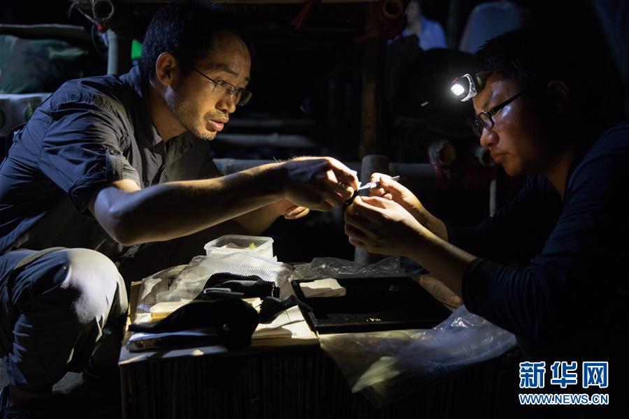 中國?ミャンマー合同科學(xué)観測隊、科學(xué)観測の現(xiàn)場を直撃