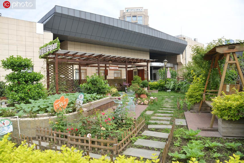 成都のショッピングモール屋上が「空中農(nóng)場(chǎng)」に　四川省