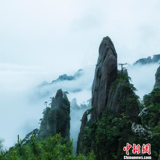 現(xiàn)世の仙境、動植物の王國 江西?三清山