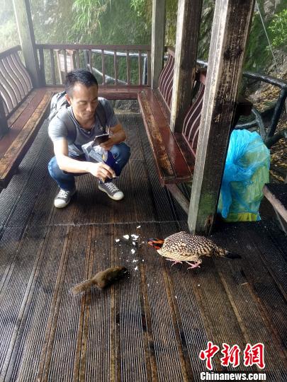 現(xiàn)世の仙境、動(dòng)植物の王國(guó) 江西?三清山