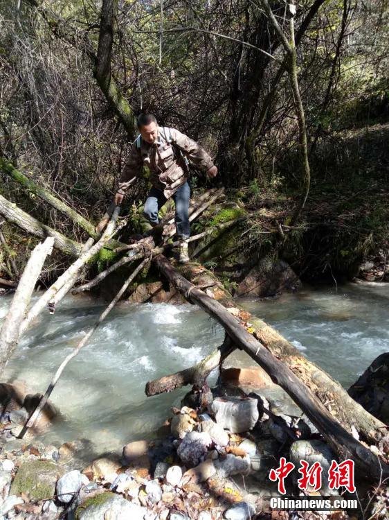 四川勿角保護區(qū)で野生パンダの撮影に成功