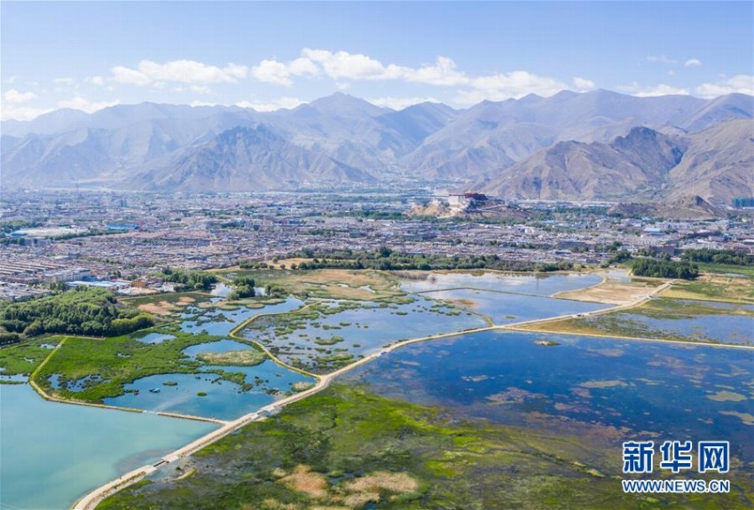 チベットは世界で生態(tài)環(huán)境が非常に優(yōu)れた地域の1つ