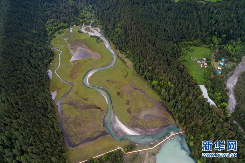 チベットは世界で生態(tài)環(huán)境が非常に優(yōu)れた地域の1つ