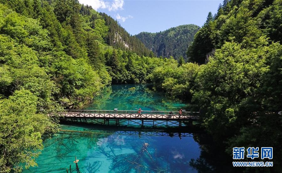 美しく輝く夏の九寨溝