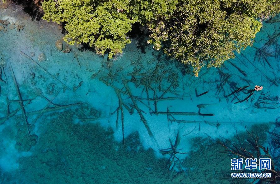 九寨溝景勝區(qū)の観光スポット「五花海」（6月5日、撮影?薛玉斌 ドローンによる撮影）。