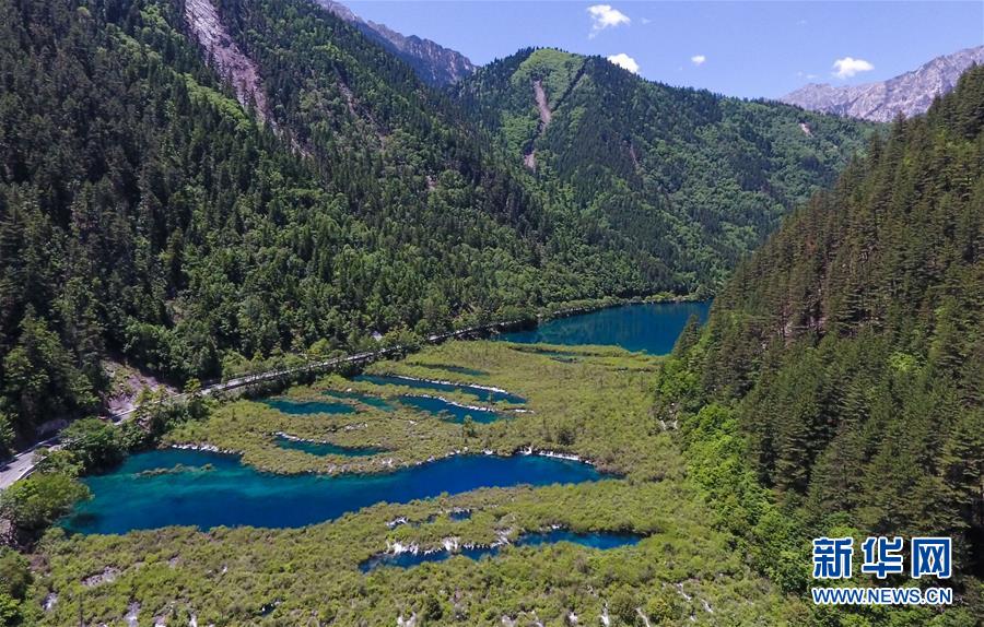 美しく輝く夏の九寨溝