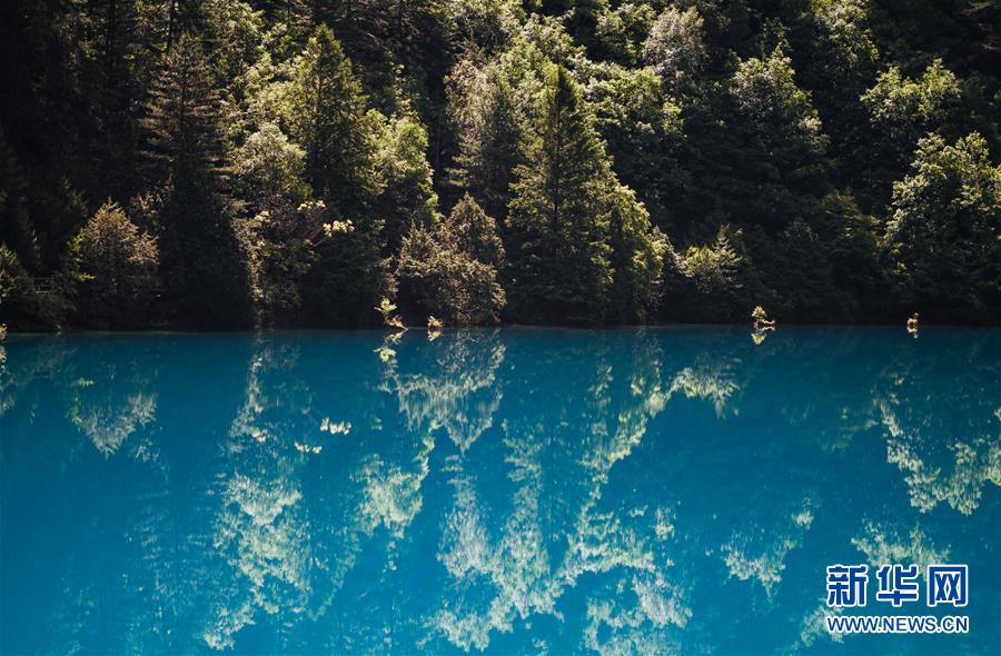 美しく輝く夏の九寨溝