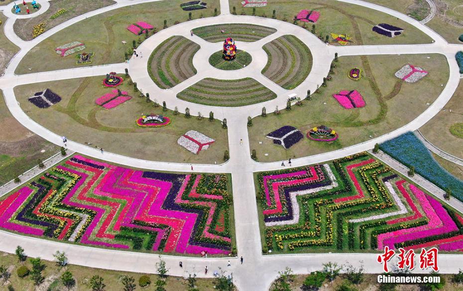 「花の海」に酔いしれる　江蘇省南通市のフラワーパーク「鮮花小鎮(zhèn)」