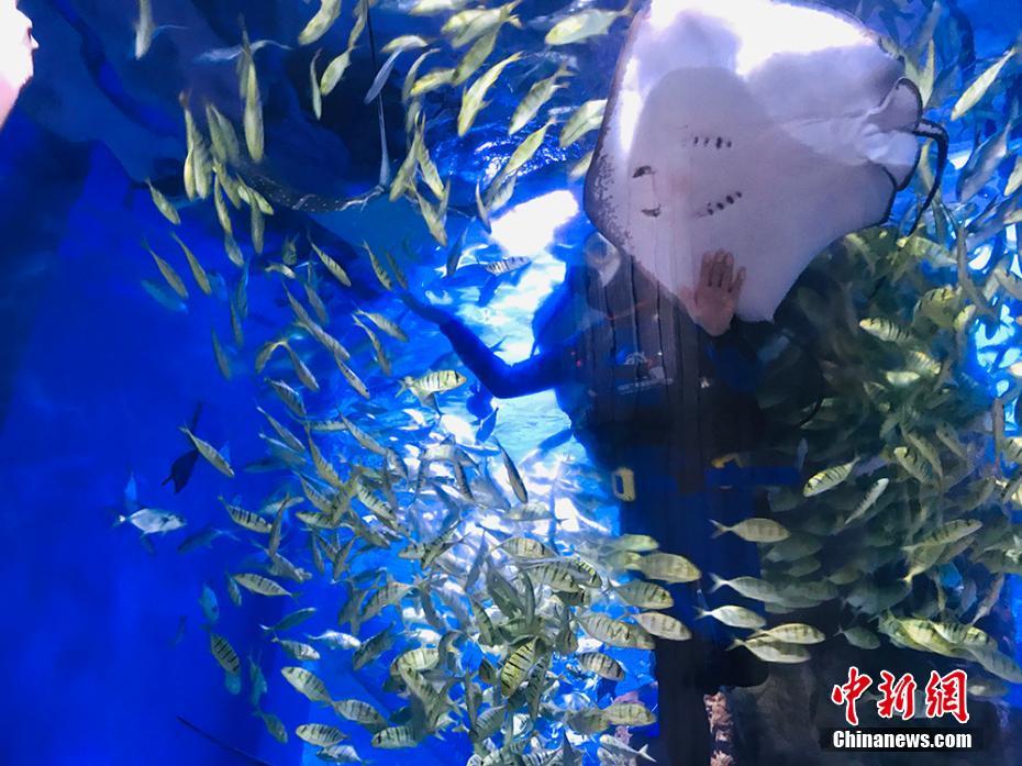 セールスマンから魚の飼育員へ！蘭州の若者の華麗なる転職　甘粛省