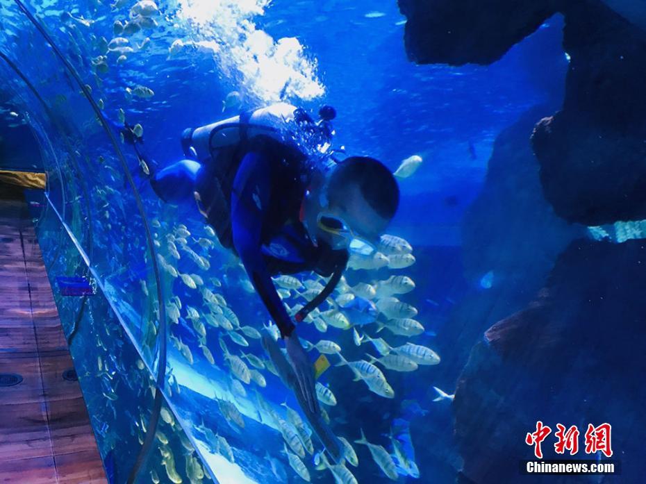 セールスマンから魚の飼育員へ！蘭州の若者の華麗なる転職　甘粛省