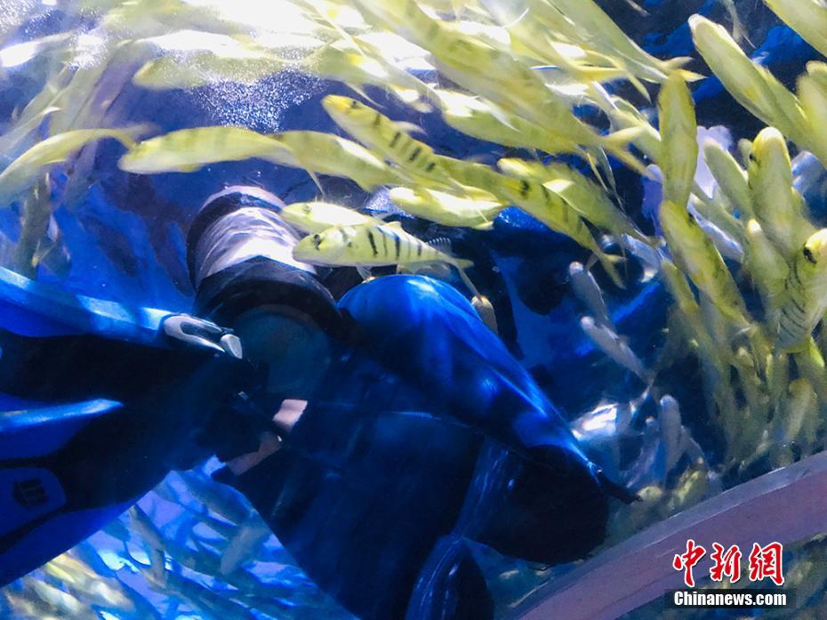 セールスマンから魚の飼育員へ！蘭州の若者の華麗なる転職　甘粛省